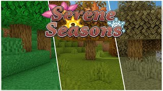 Времена года► Serene Seasons Обзор модов 20 [upl. by Dzoba]