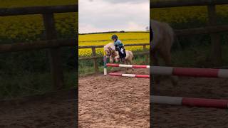 Riding my mini Shetland stallion equestrian horseriding horse stallion shetlandpony rider [upl. by Nomis]