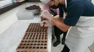 Chocolate bonbons recipe  How to temper chocolate  reyhanna vlogs [upl. by Michele]