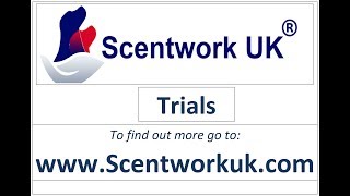 Scentwork UK L1 Trial [upl. by Cuthbert]