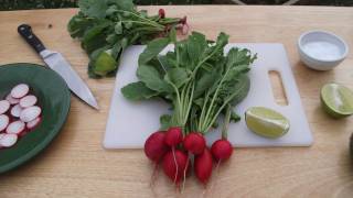 QUICK amp FRESH RADISHES RECIPE [upl. by Ausoj]