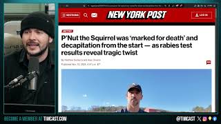 PNut WAS ASSASSINATED CONFIRMED State PREPLANNED Squirrel And Raccoons Deaths BEFORE Raiding [upl. by Biddie]