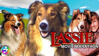 LASSIE Mega Marathon  3 Classic Movies featuring your favorite canine  Dog Movies [upl. by Baalman]