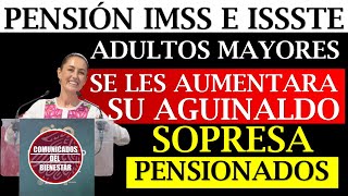 🤑 Urgente¡¡✨ PENSIÓN IMSS e ISSSTE A estos PENSIONADOS se les aumenta su AGUINALDO 2024 [upl. by Fisher]