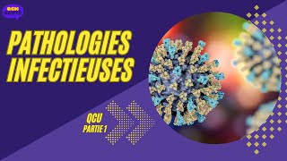 les Pathologies infectieuses Partie 1 [upl. by Atnuahs]