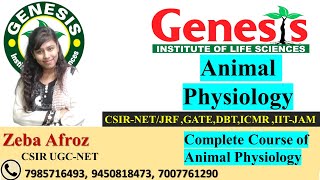 Absorption in Gastrointestinal track  Animal Physiology  Lecture11  CSIR NETJRF  Life science [upl. by Anatak425]