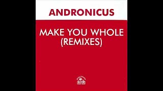 ANDRONICUS  MAKE YOU WHOLE LISA MARIE EXPERIENCE MIX [upl. by Nnaecarg899]