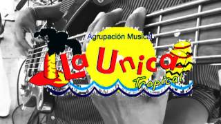 MILLONARIO DE AMOR  LA ÚNICA TROPICAL OFICIAL  DANITZA [upl. by Brass]