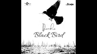 DANOLA BLACK BIRD LYRICS [upl. by Speroni]