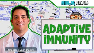 Immunology  Adaptive Immunity [upl. by Odnam]