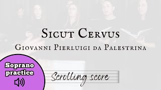 Sicut Cervus  Palestrina  Soprano practice with score [upl. by Aneloj]