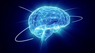 Human brain changes part 6 Amygdalas Putamen Corpus callosum Fornix Mandela Effects [upl. by Sirap]