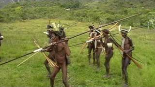 Танец с папуасами Dancing with papuans [upl. by Gudrin347]