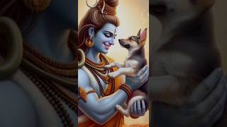 Kailash ke nivasi 2  mahadev status  mahadev kailash shivji trending shortvideo [upl. by Swift]