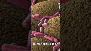 Salmonella Outbreak‼️ cdc salmonella viral fyp health [upl. by Conger]