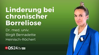 Die Inuspherese und Borreliose Neue Hoffnung für Patienten mit chronischer Infektion  QS24 [upl. by Ahsilek]