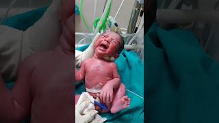 First cry baby at birthmaa shortvideo baby cutebaby status babyvideos cute nurse touching [upl. by Fairbanks]