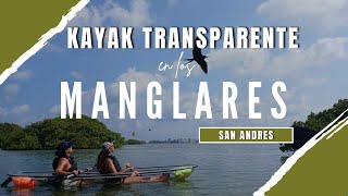 SAN ANDRES COLOMBIA  KAYAK TRANSPARENTE ECO FIWI POR EL MANGLAR OLD POINT [upl. by Aryl]