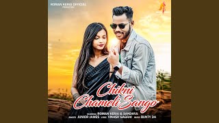 Chikni Chameli Sango [upl. by Plafker]