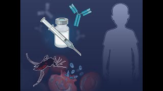 Monoclonal Antibody to Prevent Malaria  NEJM [upl. by Sievert]