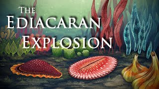 The Ediacaran Explosion ft CambrianScience [upl. by Fitzger]