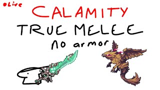 calamity true melee no armor expert death part 4 the hard part [upl. by Schoenburg]