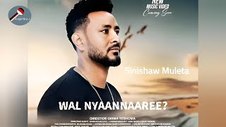 Sinishaw muleta Wal Nyaannaree new music vedio 2024 [upl. by Abisha]