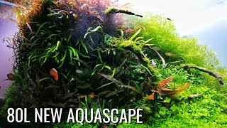 80L Home tank  New layout  closeups FAAO AQUASCAPING PLANTEDAQUARIUM [upl. by Quintus]