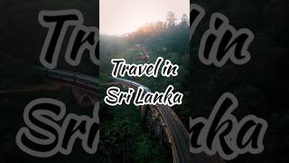 ✈️🇱🇰🍃🌿iwatours travel nature wildlife trein beach tourist tour tourism tourplan srilanka [upl. by Kala]