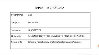 Amphioxus Morphology [upl. by Nerha]