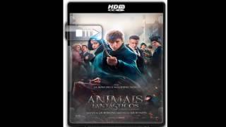 Animais Fantásticos e Onde Habitam Filme Completo Dublado  HD TS  Torrent [upl. by Casi355]