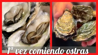 🦪 Como abrir ostras  Comiendo ostras por primera vez en el Mercado de Antón Martín [upl. by Aneetak747]