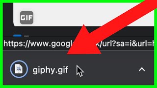 How to Download GIF from Google NEW UPDATE in 2023 [upl. by Sasnett]