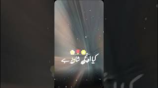 Wo tan ha Kon hi Allah ho Allah New video naat 2024 [upl. by Notsecnirp]