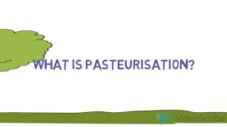 what is pasteurisation [upl. by Aixela]