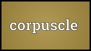 Corpuscle Meaning [upl. by Rola796]