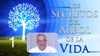 Kabbalah Los secretos del árbol de la vida  clase 1 [upl. by Douglas]