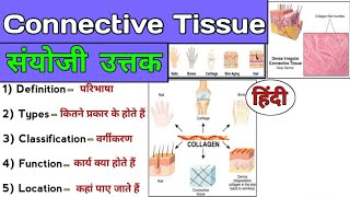 Connective Tissue Explained  Anatomy and Physiology  Connective tissue in Hindi [upl. by Gerlac]