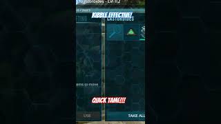 KIBBLE EFFECTIVE Ark Mobile gameplay CASTOROIDES Quick tame gaming arkmobile [upl. by Claudie]