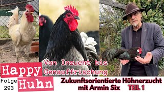 Von Inzucht bis Genauffrischung Zukunftsorientierte Hühnerzucht mit Armin Six Teil1 HAPPY HUHN E293 [upl. by Enitnemelc]