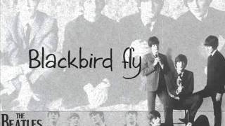 The Beatles  Blackbird lyrics [upl. by Hitchcock]