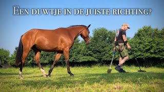 Een duwtje in de juiste richting ZILVER  Metaaldetectie op de Veluwe  26  27 juni 2024 [upl. by Sofko]