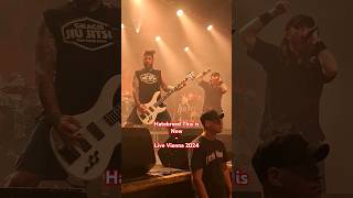 Hatebreed This is Now Live Vienna 2024hatebreed european tour metal concert live 2024 wien [upl. by Ayikat]