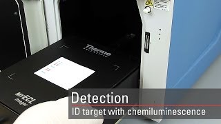 Detect your target proteins using chemiluminescent Western blot substrates [upl. by Stickney]