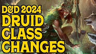 Druid Class Changes in DampD 2024 [upl. by Phelgon]