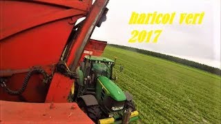 Récolte Haricot Vert 2017 avec des BCMH 7100 GoPro [upl. by Jo]