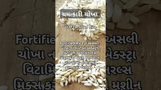 ચમત્કારી ચોખા  Fortified rice ગુજરાતી હેલ્થ ખેડુતસમાચાર rice ખેડુત ખેડુતપુત્રગુજરાતી [upl. by Hegyera]