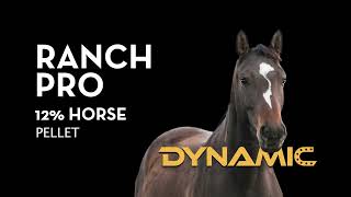 Introducing Ranch Pro Dynamic 12 Horse Feed [upl. by Ennadroj290]