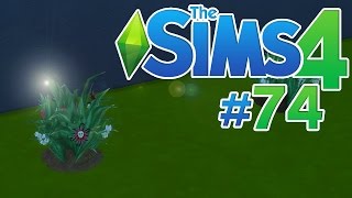 The Sims 4 ITA Ep74  Fiore della morte e ambrosia [upl. by Talanian]