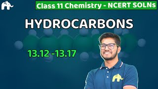 Hydrocarbons Class 11 Chemistry  Chapter 13 NCERT Solutions Questions 1217 CBSE JEE NEET MCQs [upl. by Eimrej]